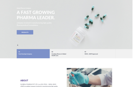 app design, website, ui-ux, software consultant, richas techpro